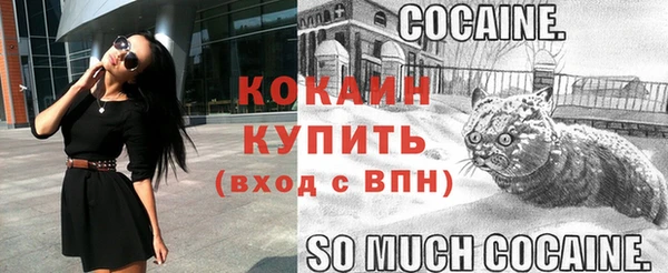 сатива Бронницы