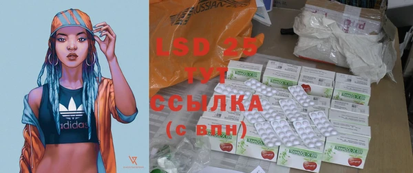 сатива Бронницы
