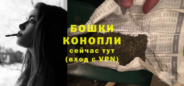 сатива Бронницы